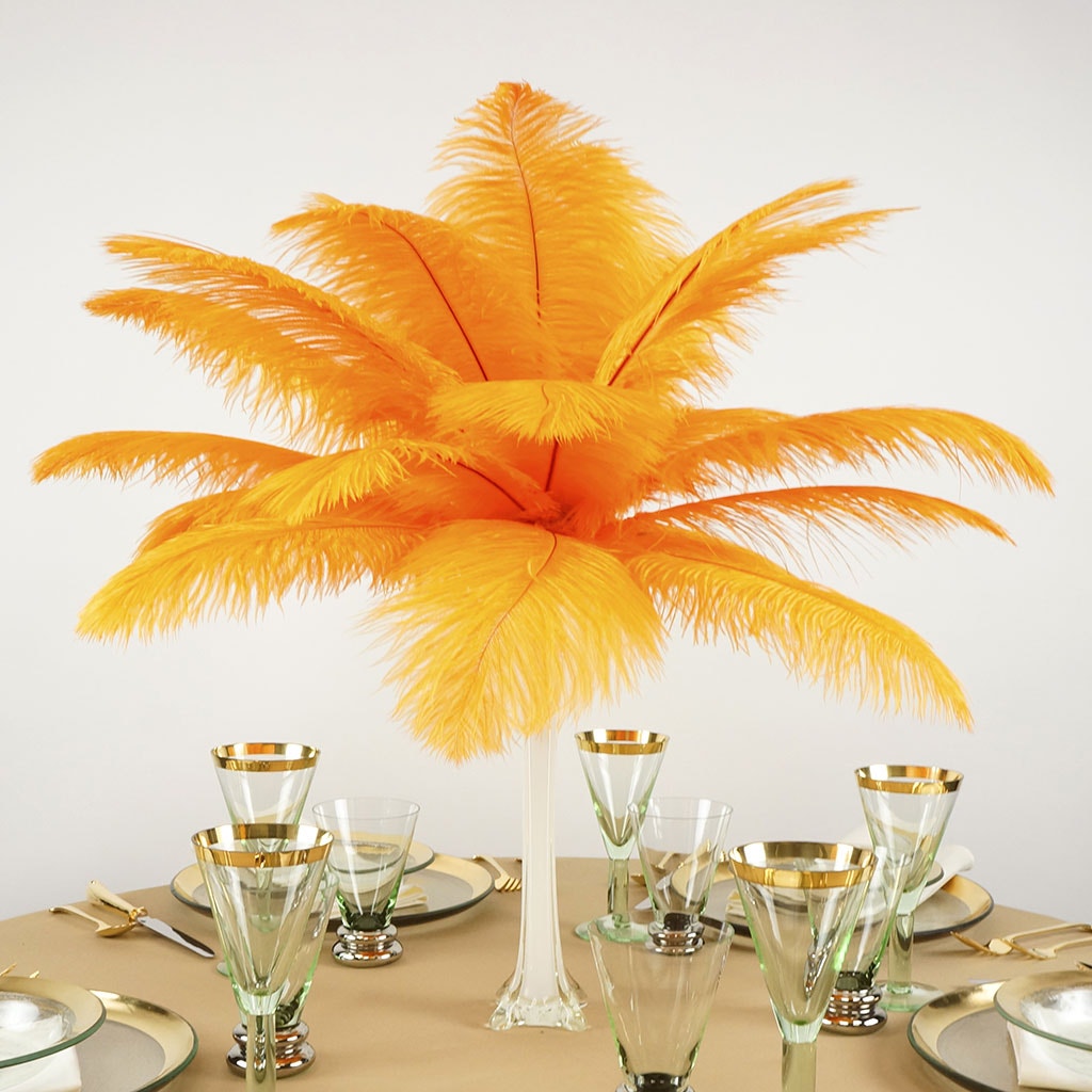 Ostrich Feathers 13-16" Drabs - Mango