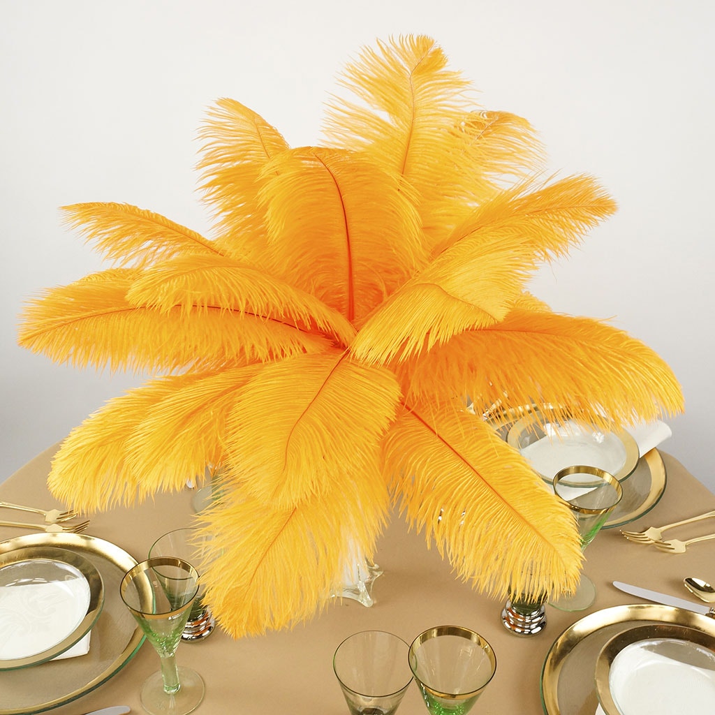 Ostrich Feathers 13-16" Drabs - Mango