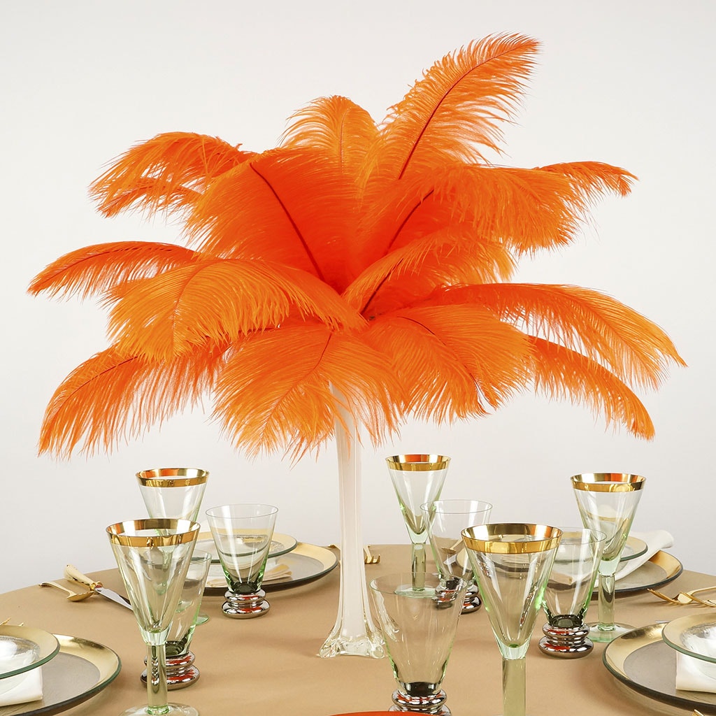 Ostrich Feathers 13-16" Drabs - Orange