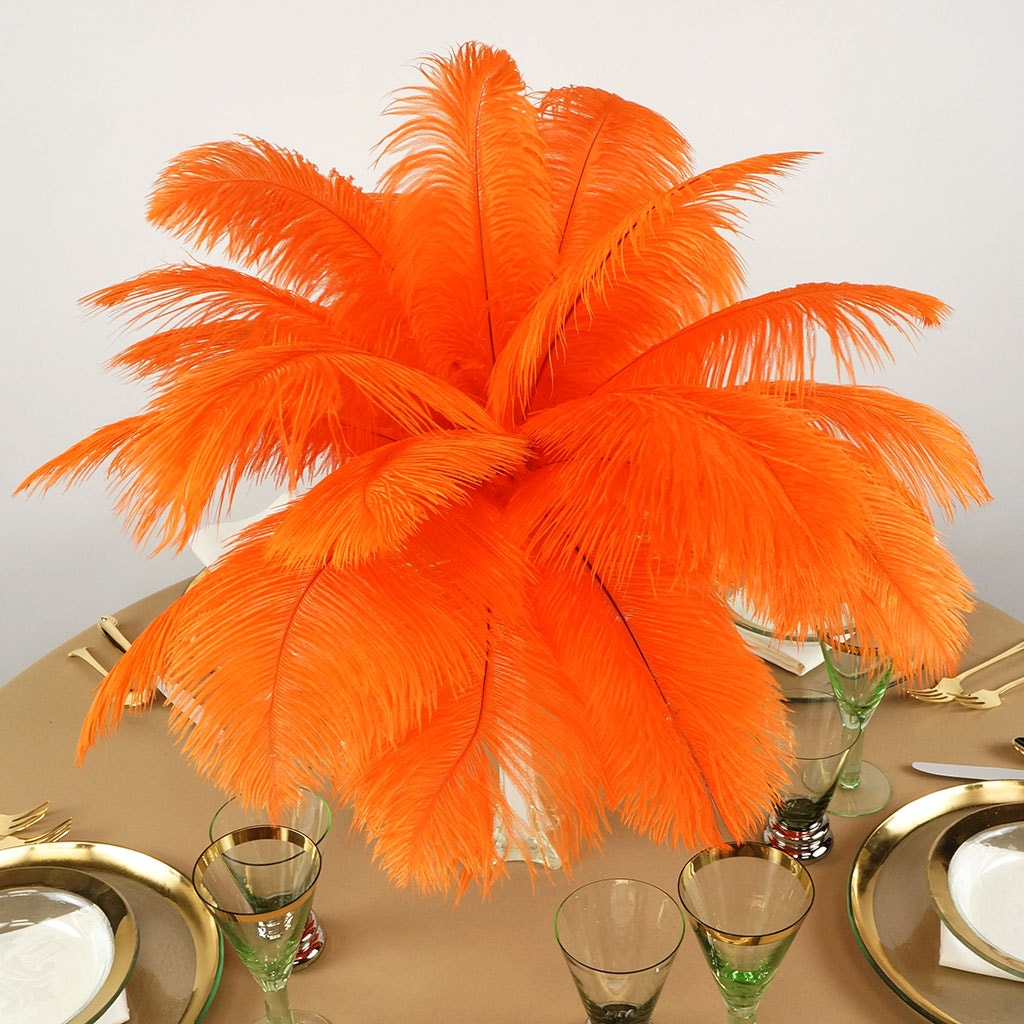 Ostrich Feathers 13-16" Drabs - Orange