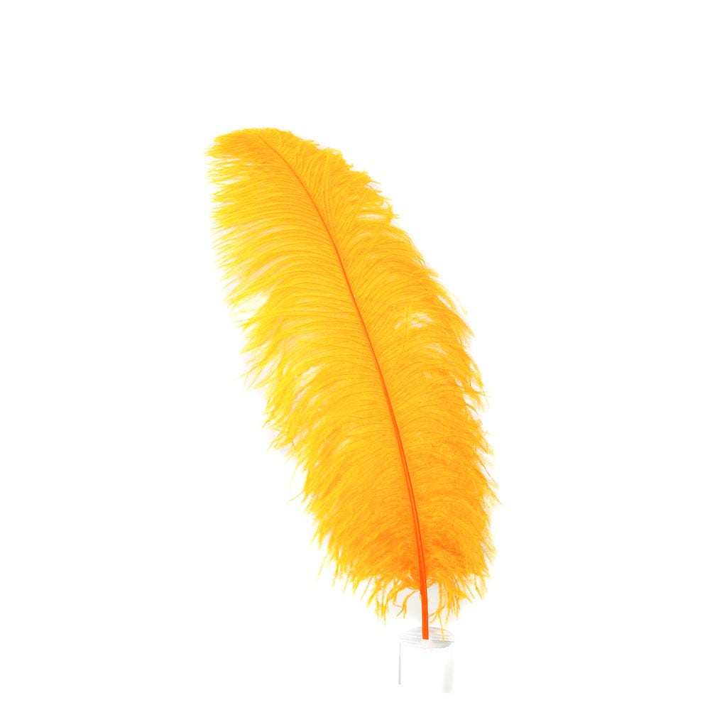 Large Ostrich Feathers - 20-25" Prime Femina Plumes - Mango