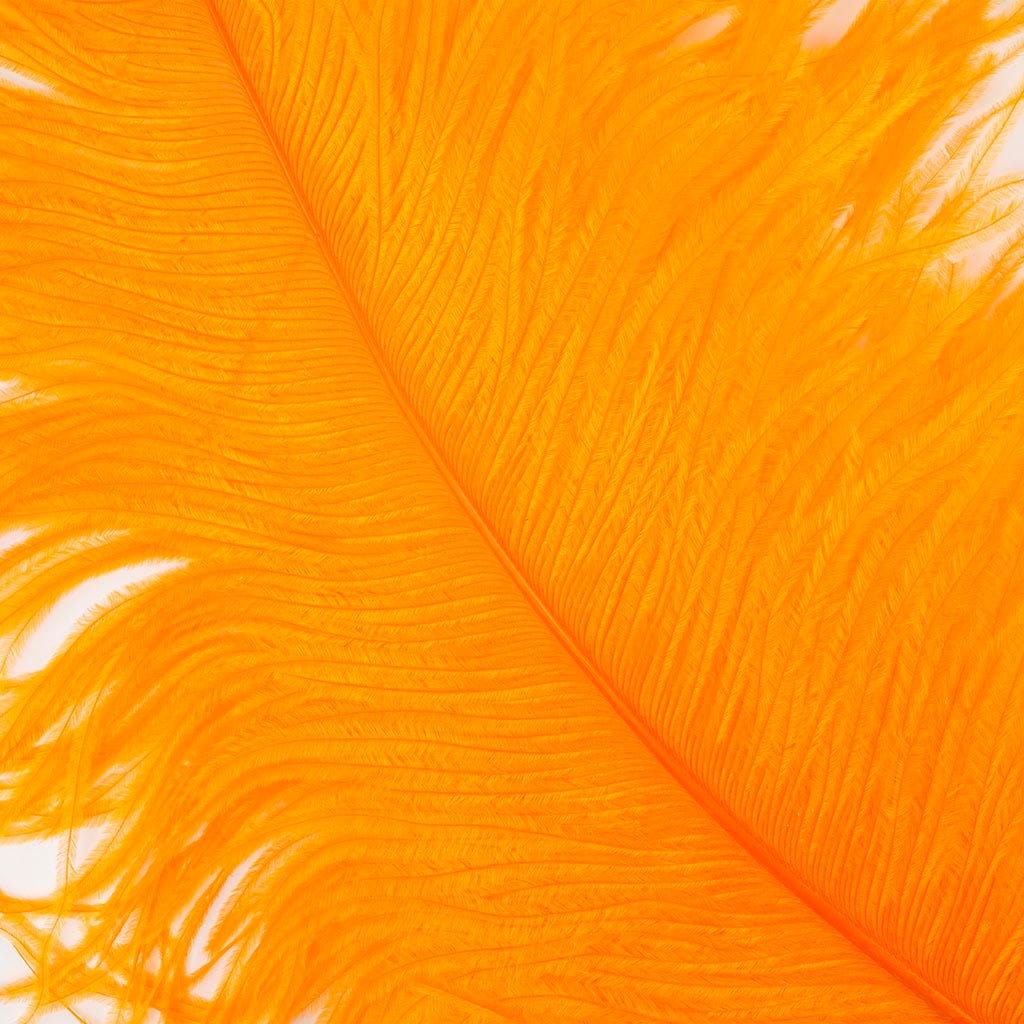 Large Ostrich Feathers - 20-25" Prime Femina Plumes - Orange
