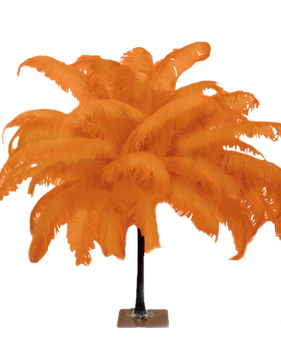 Large Ostrich Feathers - 18-24" Spads - Orange