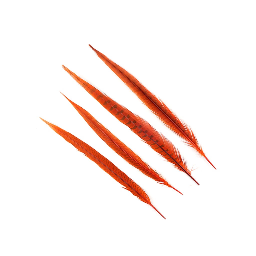 Bulk Assorted Pheasant Tails Dyed - Orange