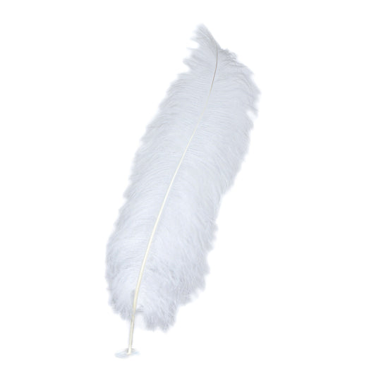 Large Ostrich Feathers - 18-24" Spads - White