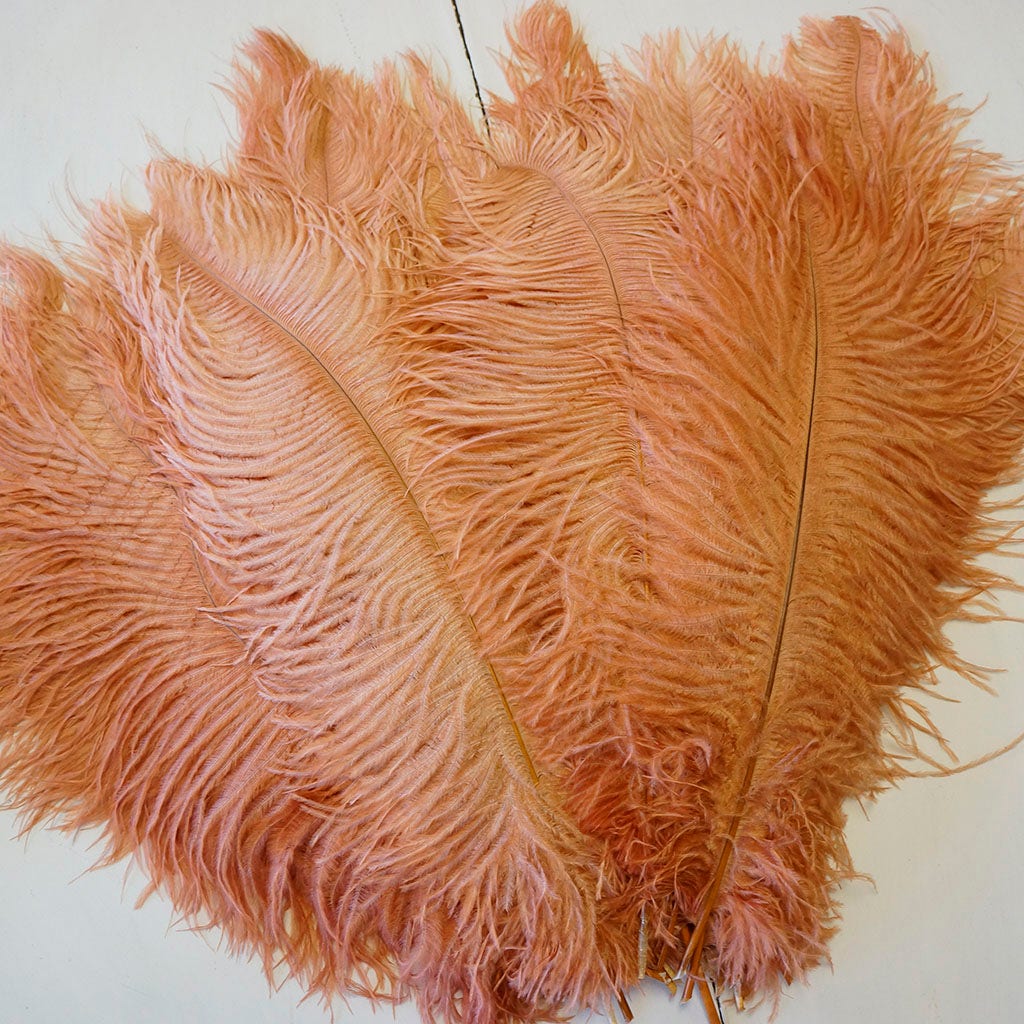 Large Ostrich Feathers - 17"+ Drabs - Cinnamon