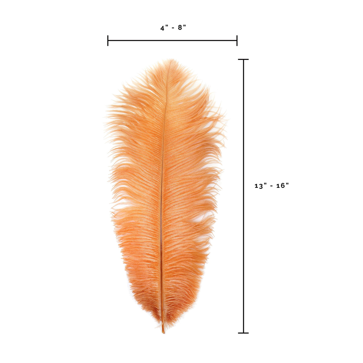 Ostrich Feathers 13-16" Drabs - Cinnamon