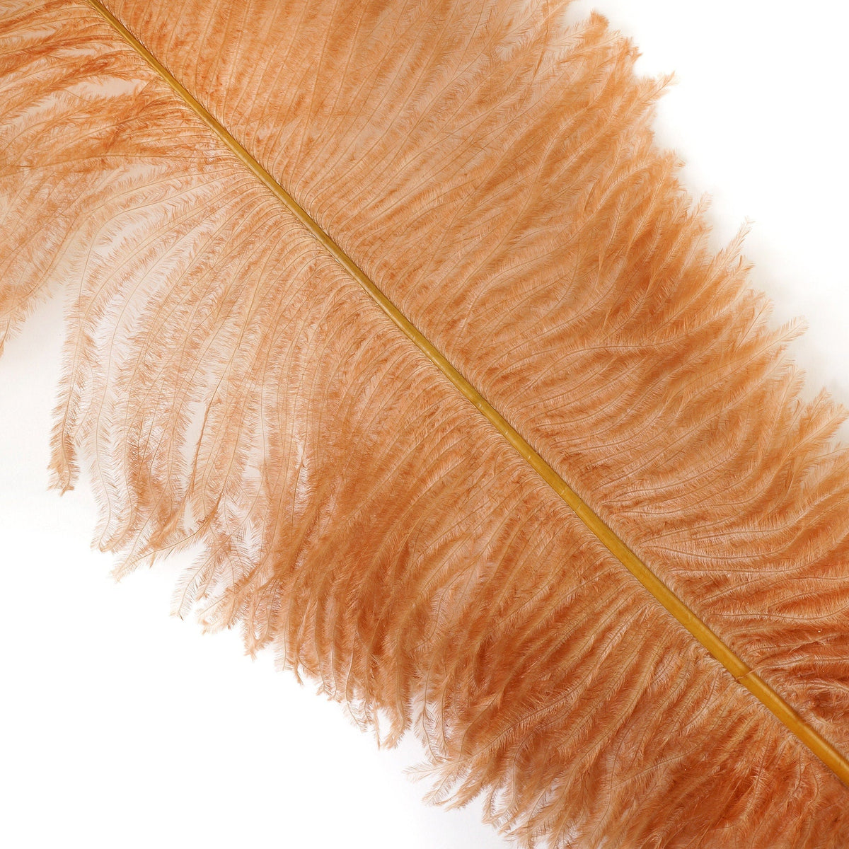 Large Ostrich Feathers - 18-24" Spads - Cinnamon