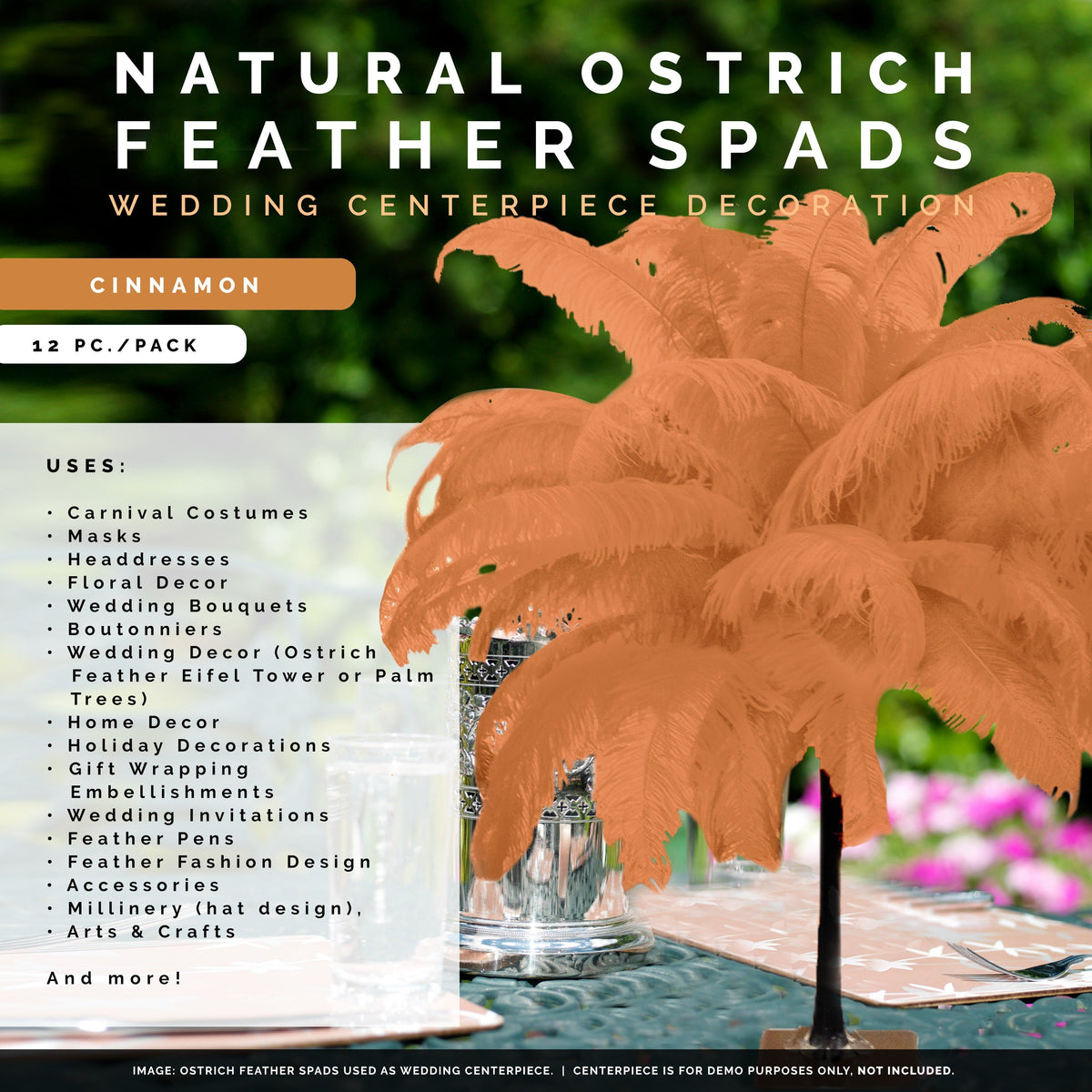 Large Ostrich Feathers - 18-24" Spads - Cinnamon
