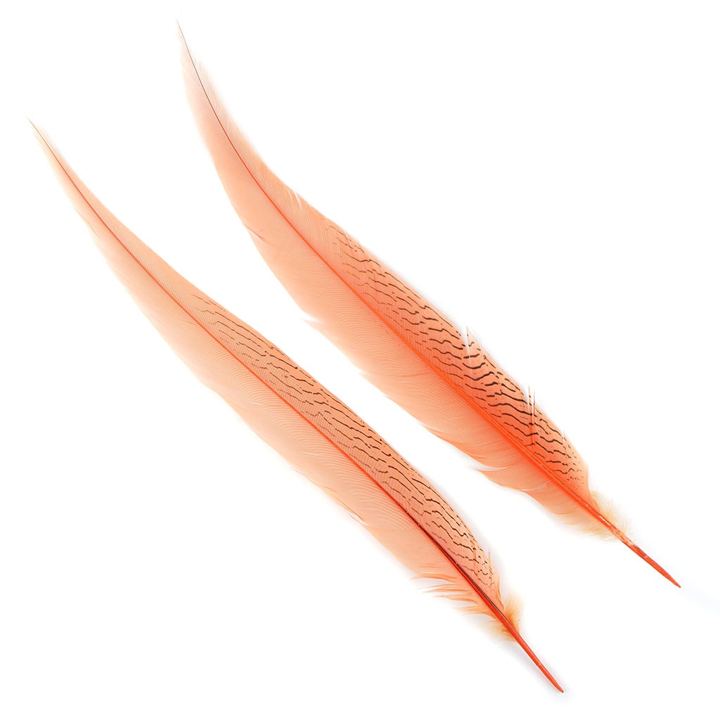 Silver Pheasant Tail Feathers Dyed Apricot Blush
