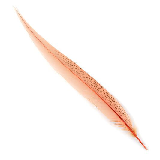 Silver Pheasant Tail Feathers Dyed Apricot Blush