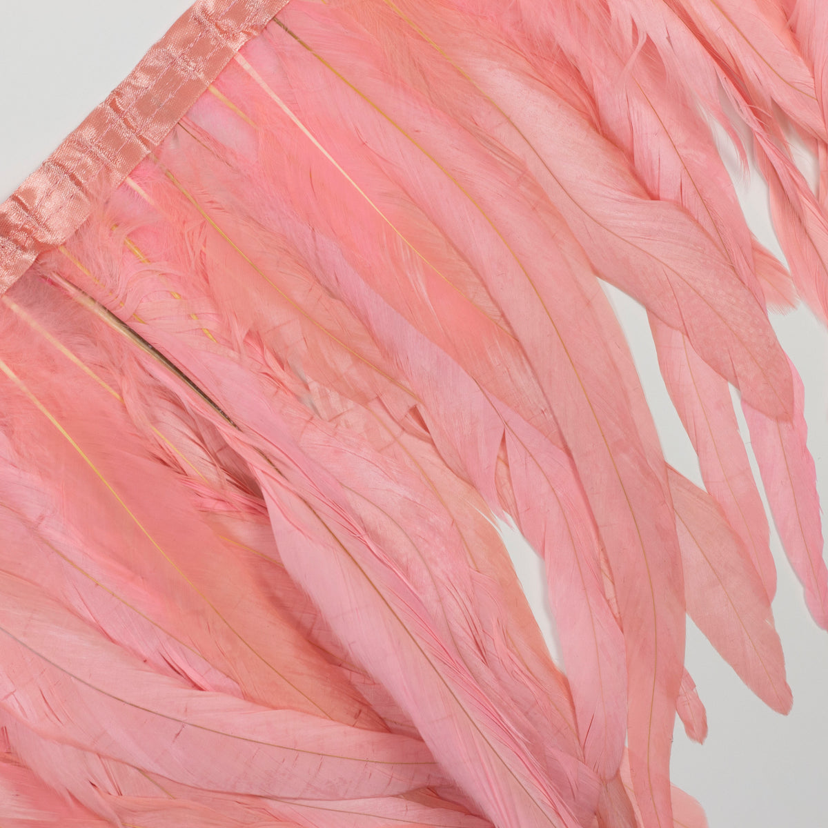 Coque Tail Feather Fringe - 10-12" - Bleach Dyed Candy Pink