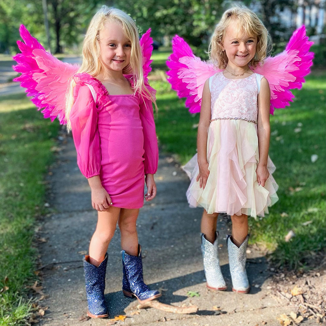 Small Two-tone Pink Wings