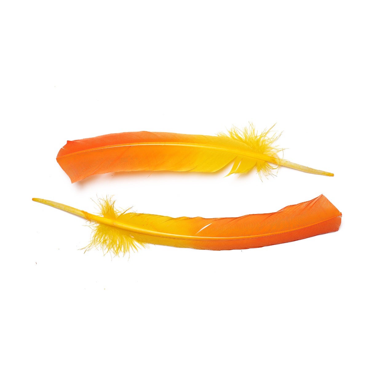 Ombre Turkey Quill 10-12" Left Wing Tip Silver .25 lb - Pink Orient-Orange
