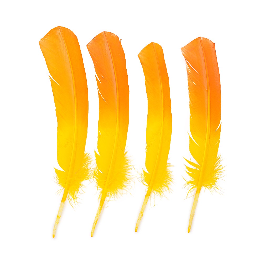 Ombre Turkey Quill 10-12" Left Wing Tip Silver .25 lb - Pink Orient-Orange