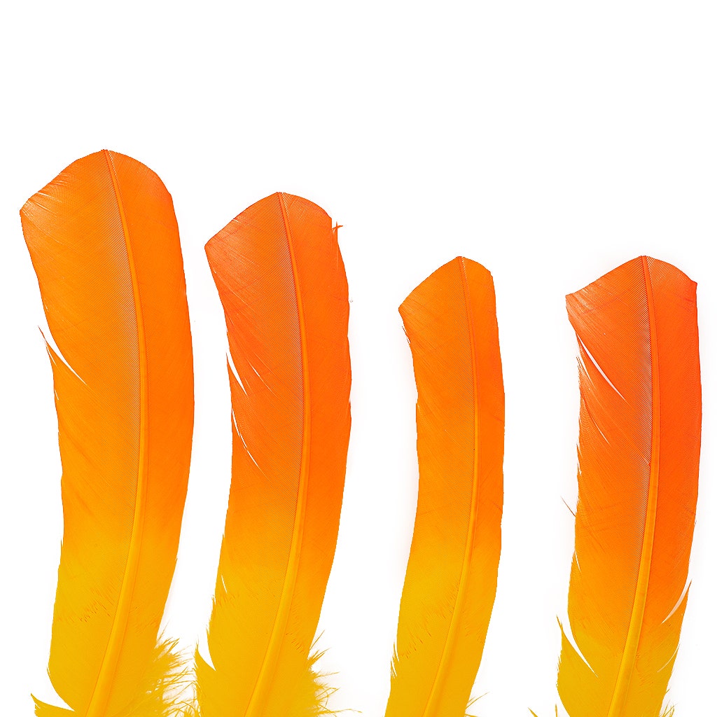 Ombre Turkey Quill 10-12" Left Wing Tip Silver .25 lb - Pink Orient-Orange