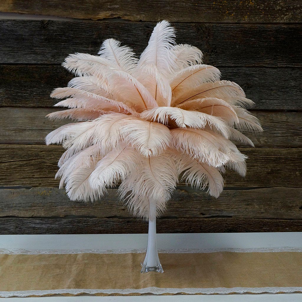 Large Ostrich Feathers - 17"+ Drabs - Champagne