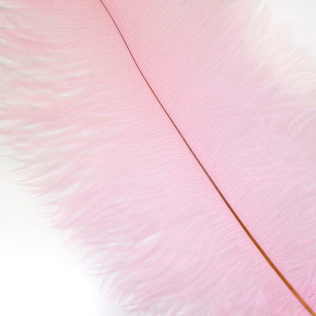 Large Ostrich Feathers - 17"+ Drabs - Candy Pink