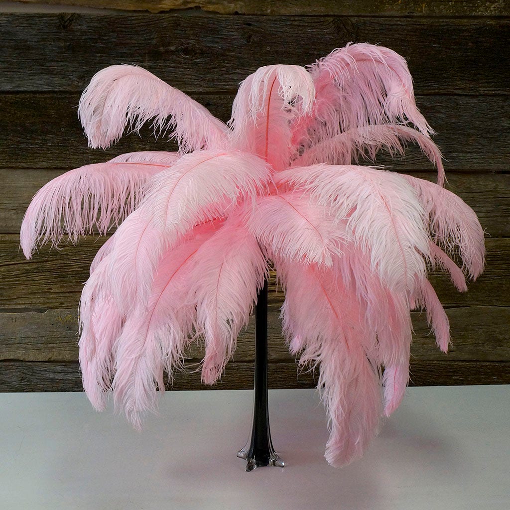 Large Ostrich Feathers - 17"+ Drabs - Candy Pink