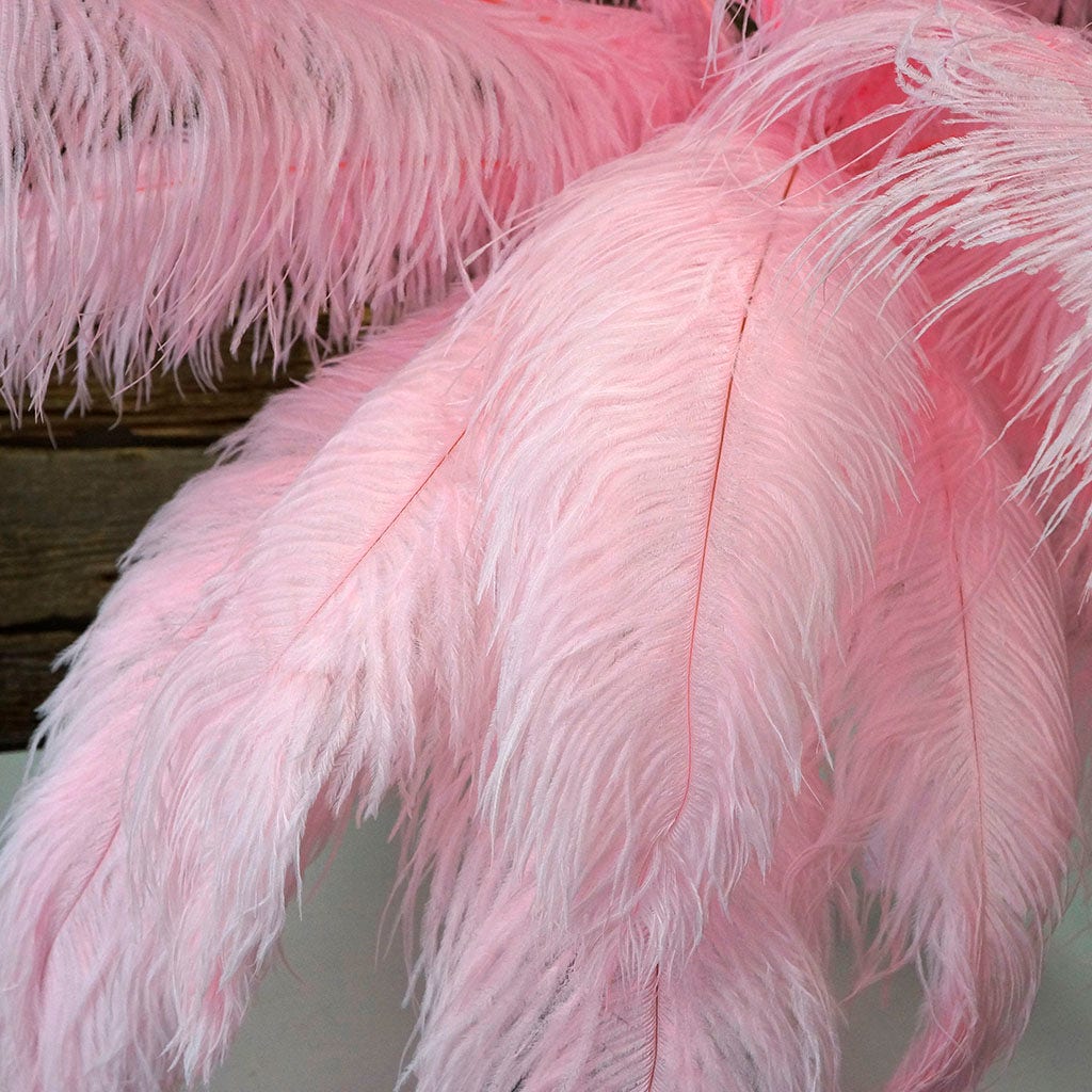 Large Ostrich Feathers - 17"+ Drabs - Candy Pink