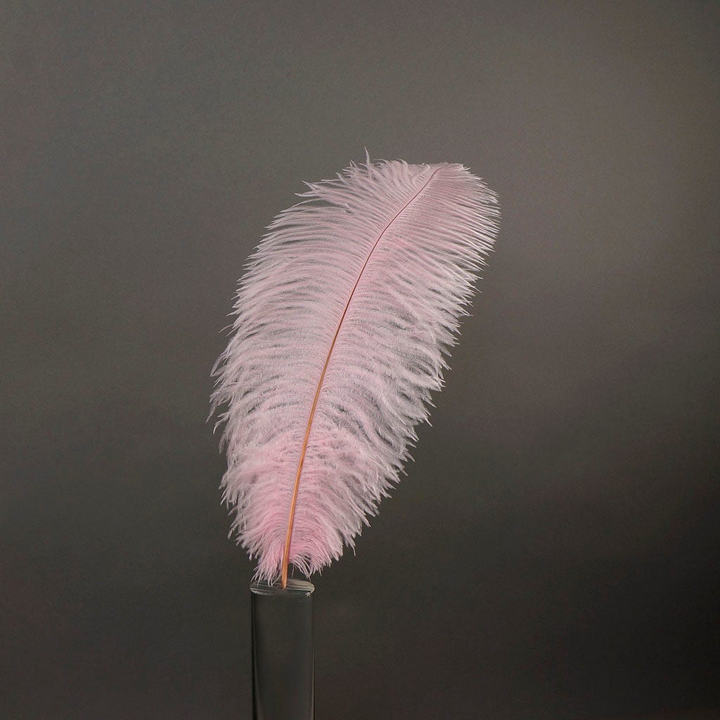 Large Ostrich Feathers - 17"+ Drabs - Candy Pink