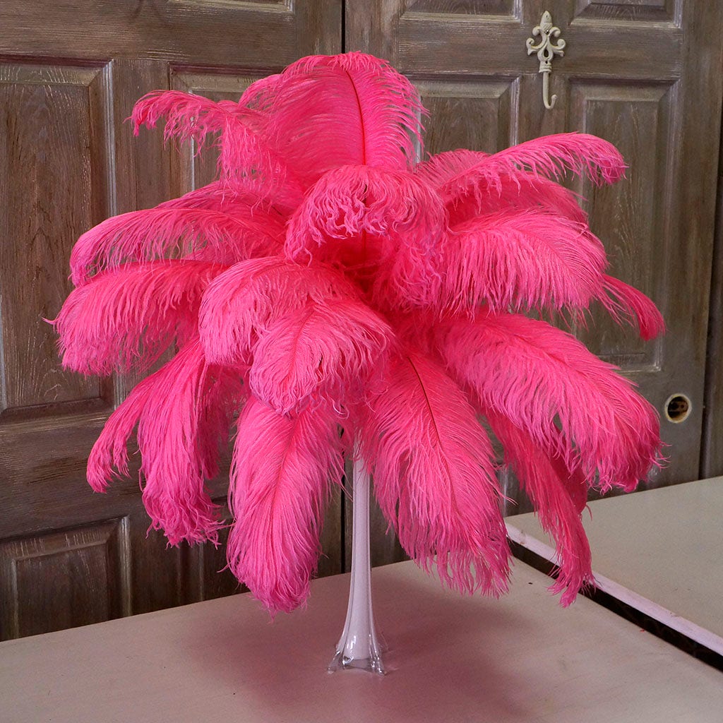 Large Ostrich Feathers - 17"+ Drabs - Pink Orient
