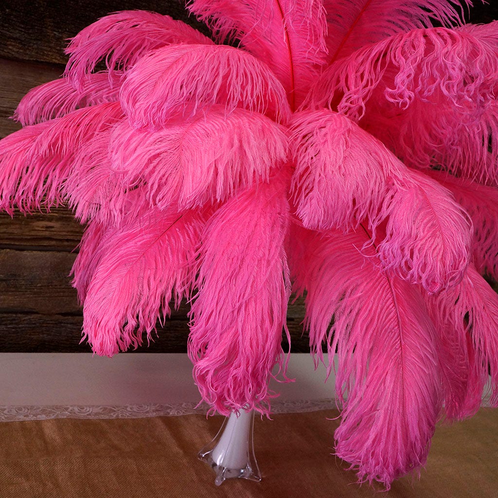 Large Ostrich Feathers - 17"+ Drabs - Pink Orient