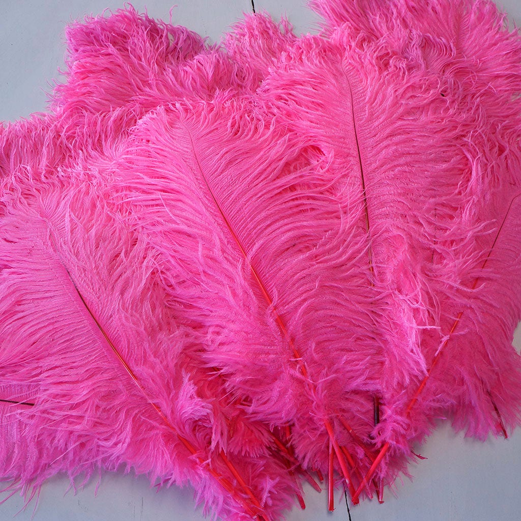 Large Ostrich Feathers - 17"+ Drabs - Pink Orient