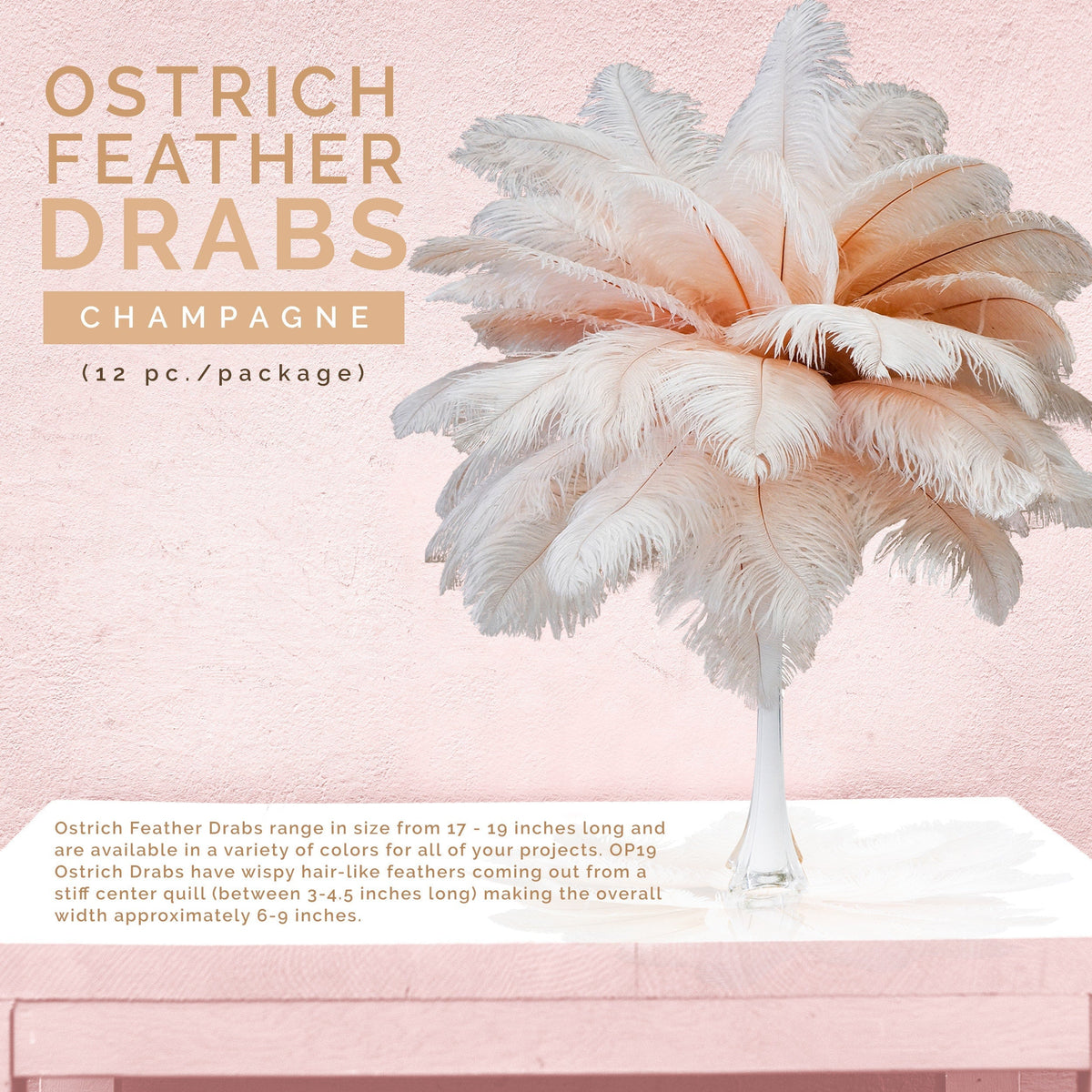 Large Ostrich Feathers - 17"+ Drabs - Champagne
