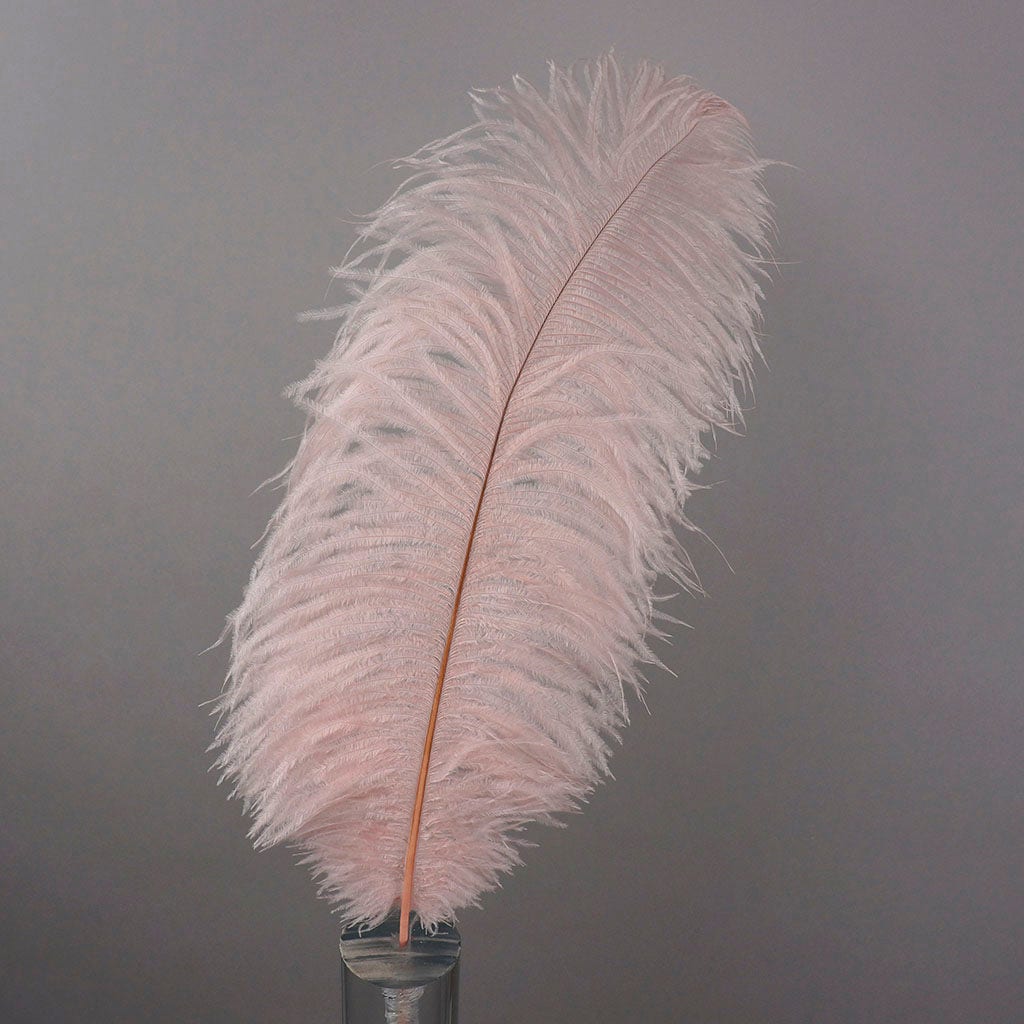Large Ostrich Feathers - 17"+ Drabs - Champagne