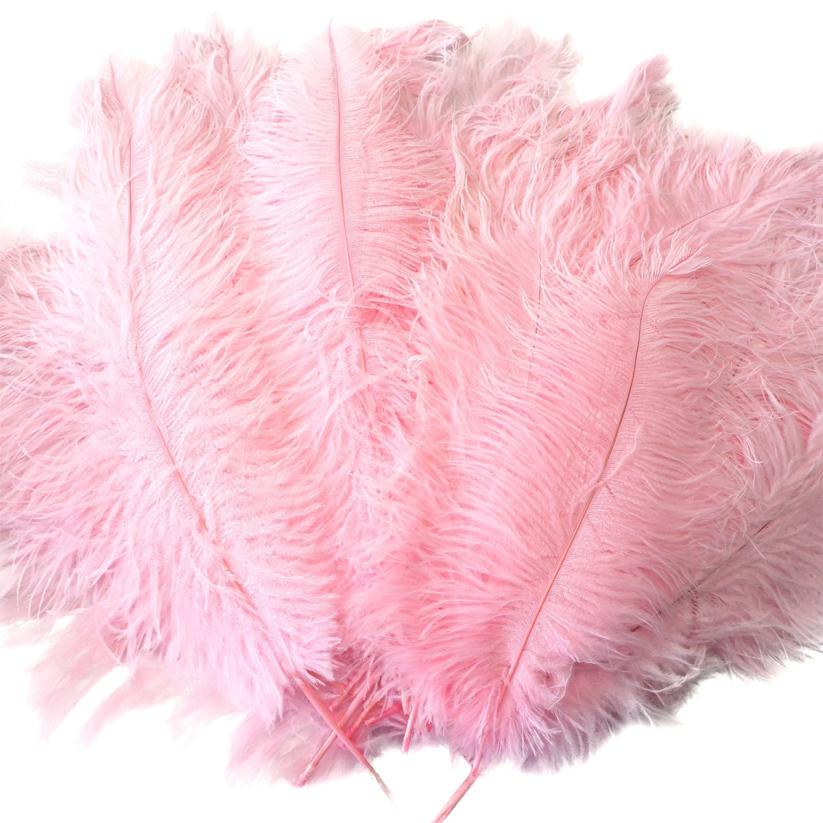 Large Ostrich Feathers - 17"+ Drabs - Candy Pink