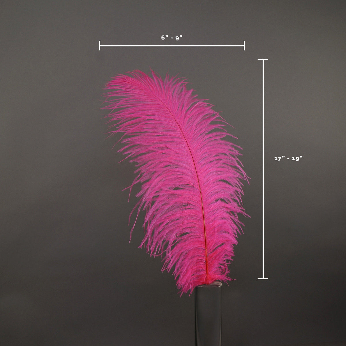 Large Ostrich Feathers - 17"+ Drabs - Pink Orient