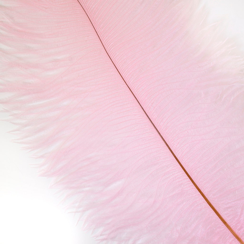 Ostrich Feathers 13-16" Drabs - Candy Pink