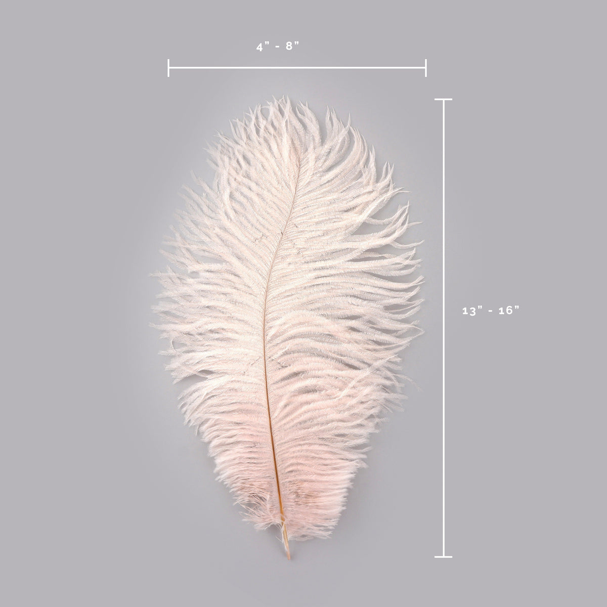 Ostrich Feathers 13-16" Drabs - Champagne