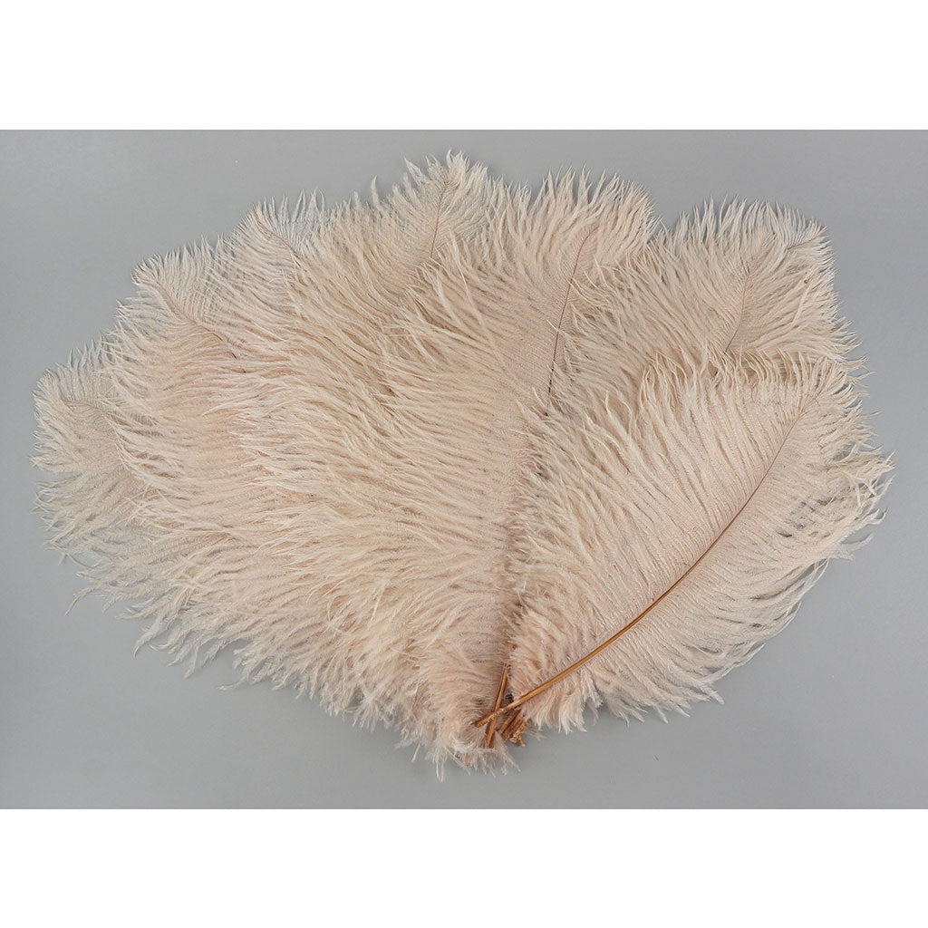 Ostrich Feathers 13-16" Drabs - Champagne