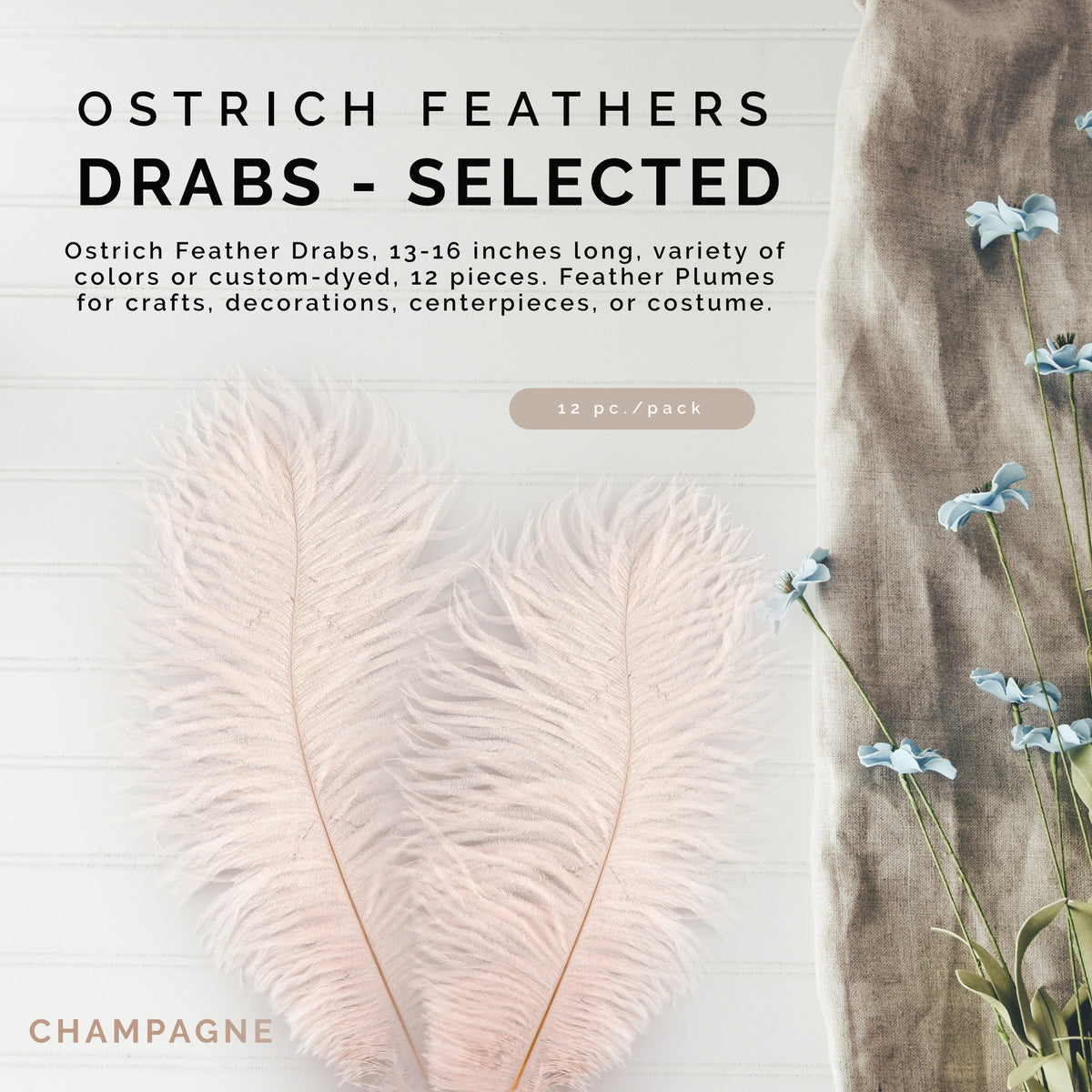 Ostrich Feathers 13-16" Drabs - Champagne