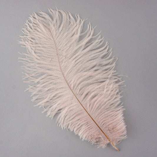 Ostrich Feathers 13-16" Drabs - Champagne
