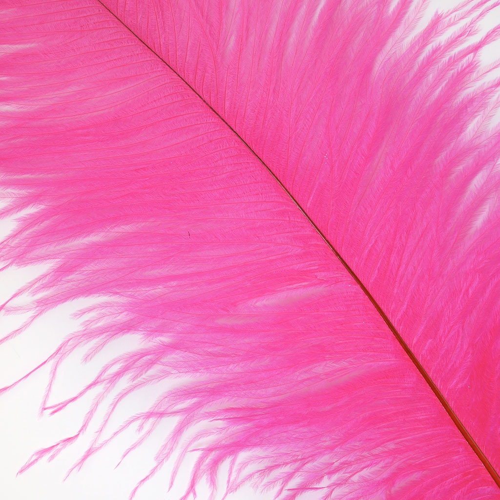 Ostrich Feathers 13-16" Drabs - Pink Orient