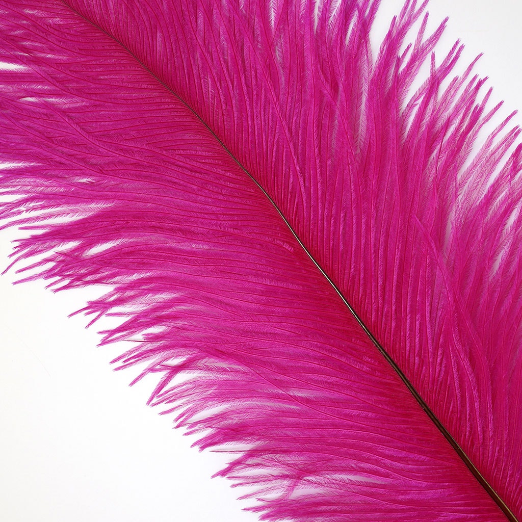 Ostrich Feathers 13-16" Drabs - Shocking Pink