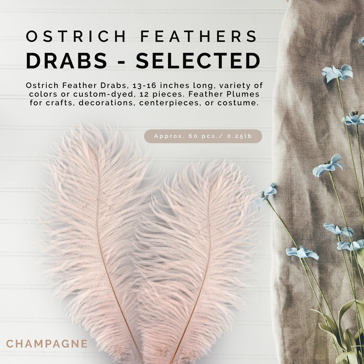 Ostrich Feathers 13-16" Drabs - Champagne