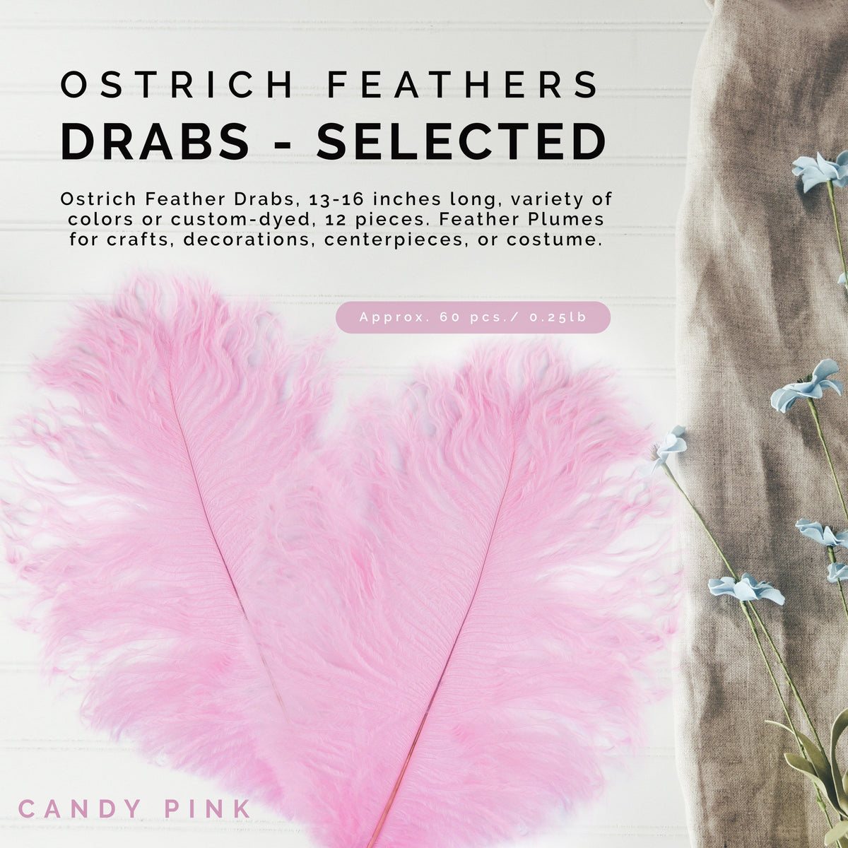 Ostrich Feathers 13-16" Drabs - Candy Pink