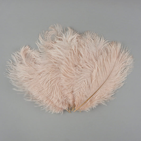 Ostrich Feathers 4-8" Drabs - Champagne