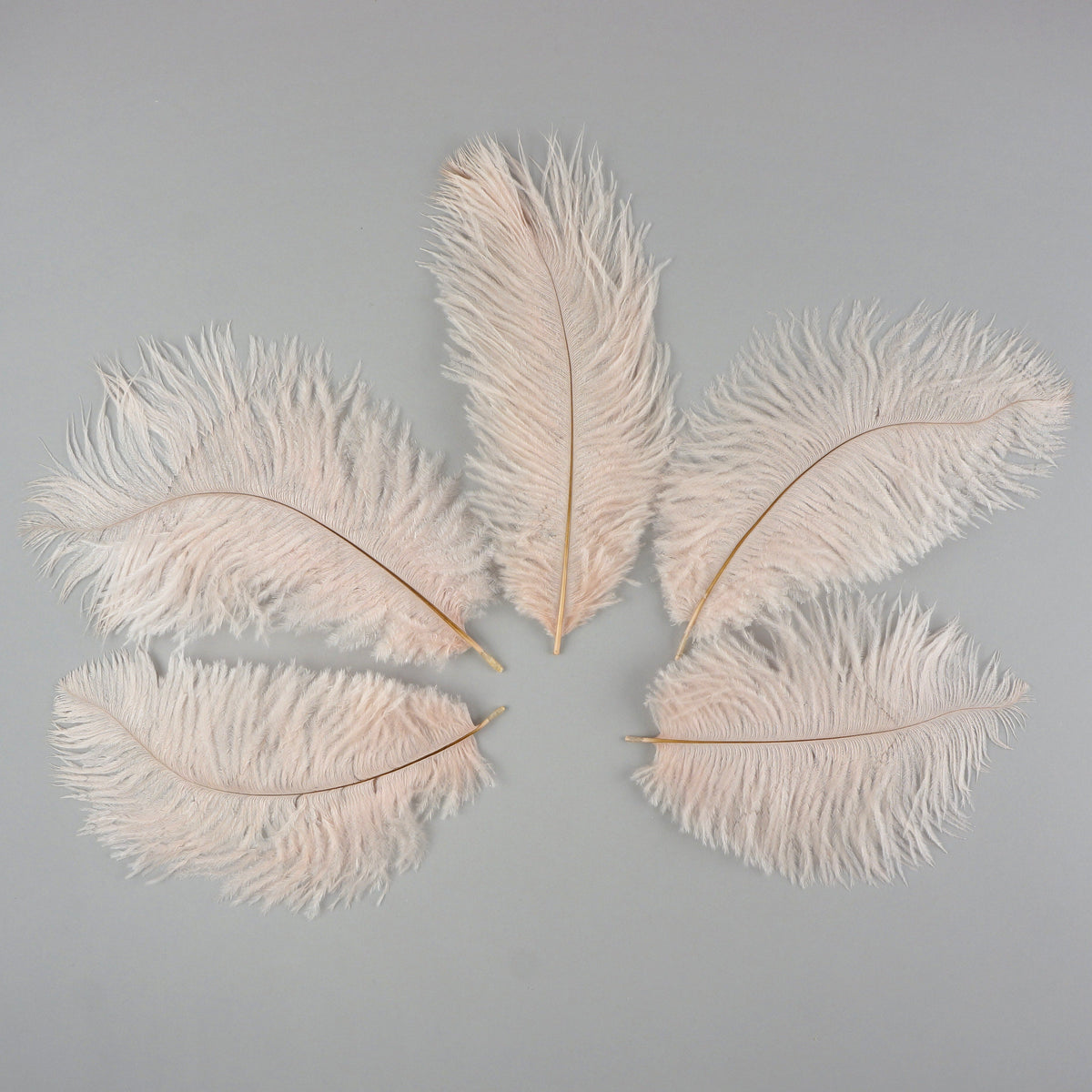 Ostrich Feathers 4-8" Drabs - Champagne
