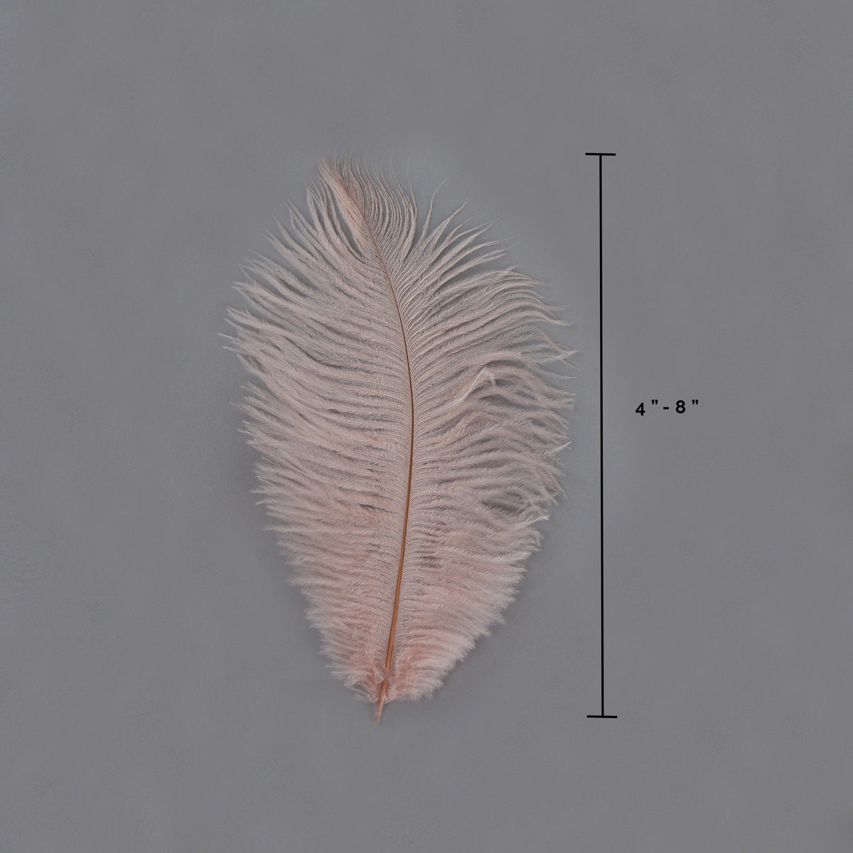 Ostrich Feathers 4-8" Drabs - Champagne