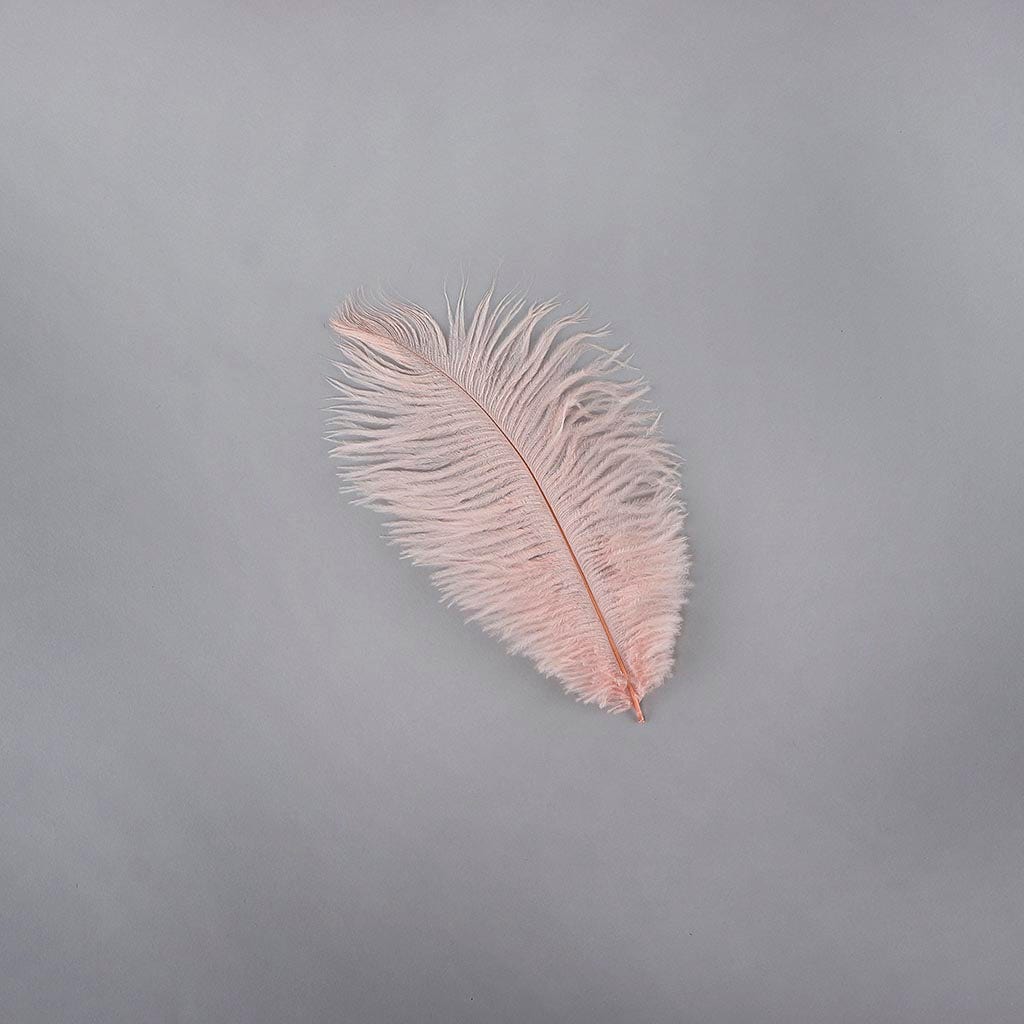 Ostrich Feathers 4-8" Drabs - Champagne