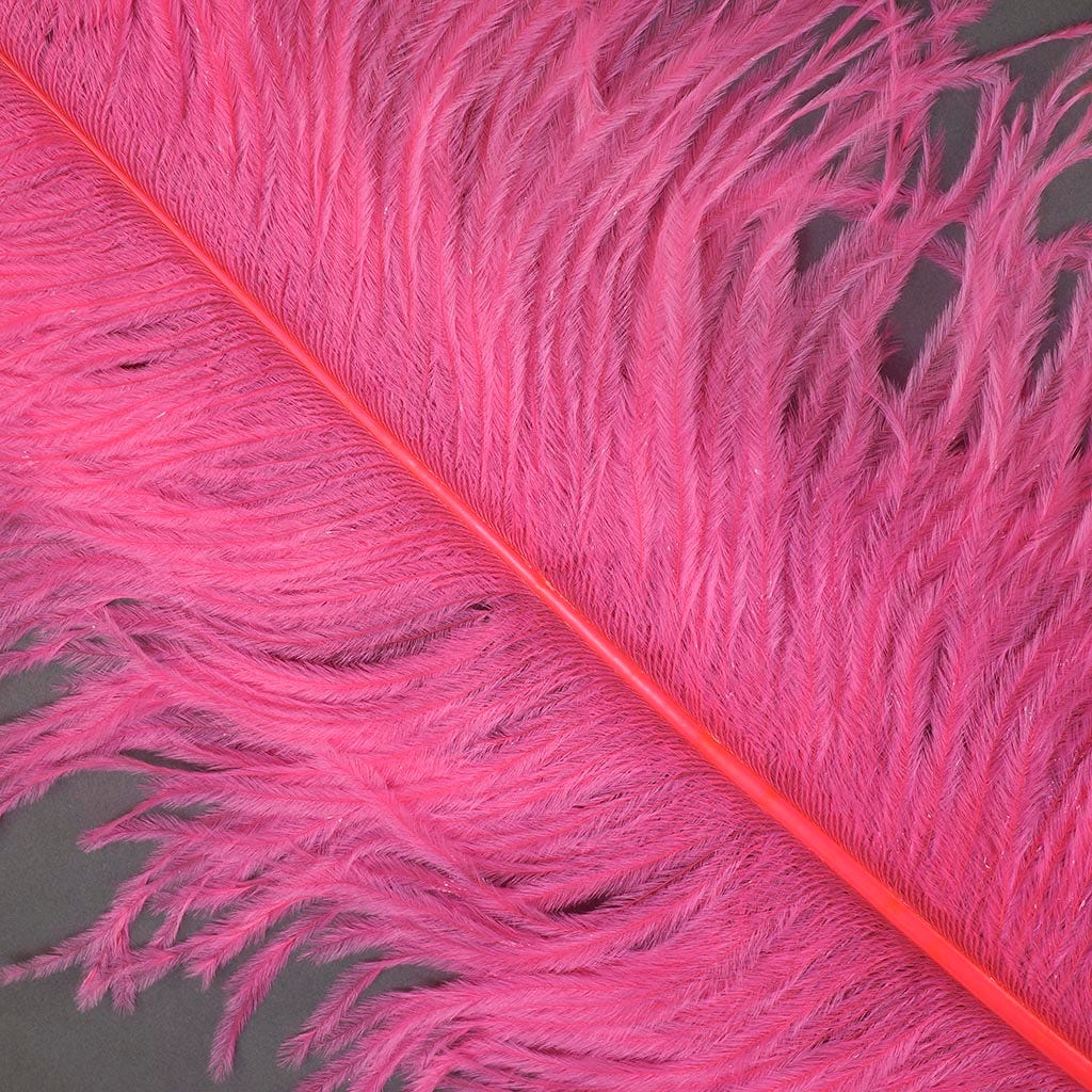 Large Ostrich Feathers - 20-25" Prime Femina Plumes - Pink Orient
