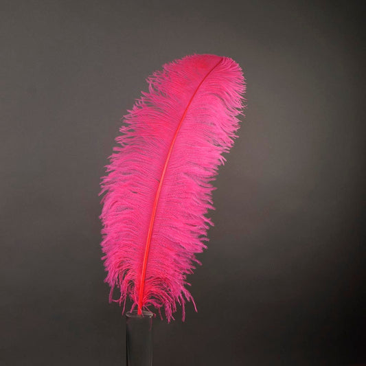 Large Ostrich Feathers - 20-25" Prime Femina Plumes - Pink Orient