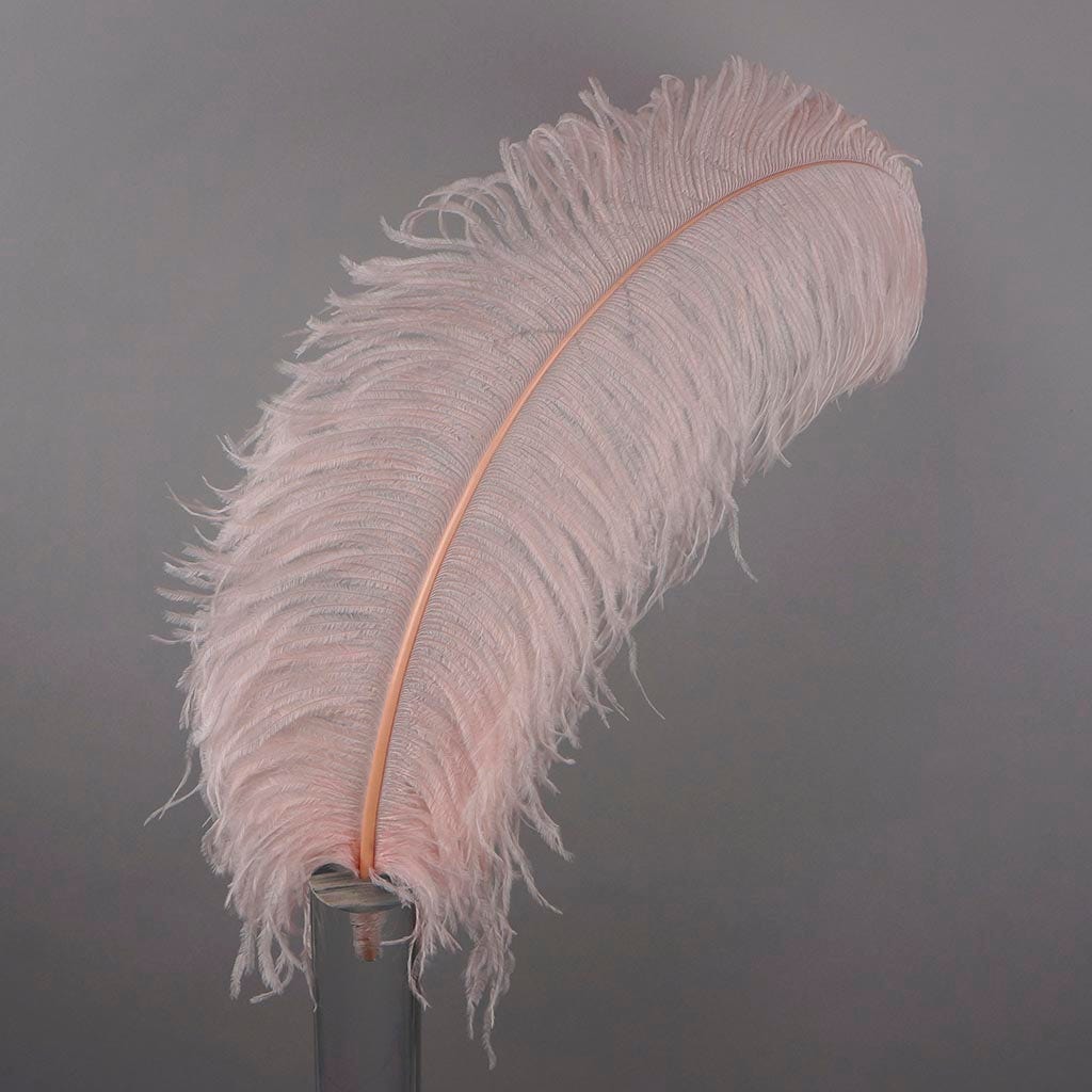 Large Ostrich Feathers - 20-25" Prime Femina Plumes - Champagne