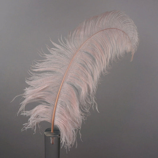 Large Ostrich Feathers - 20-25" Prime Femina Plumes - Champagne