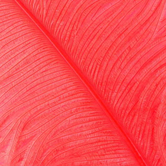 Large Ostrich Feathers - 20-25" Prime Femina Plumes - Coral